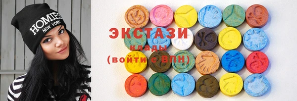 ECSTASY Богородицк