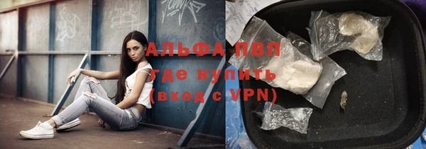 крисы Наволоки
