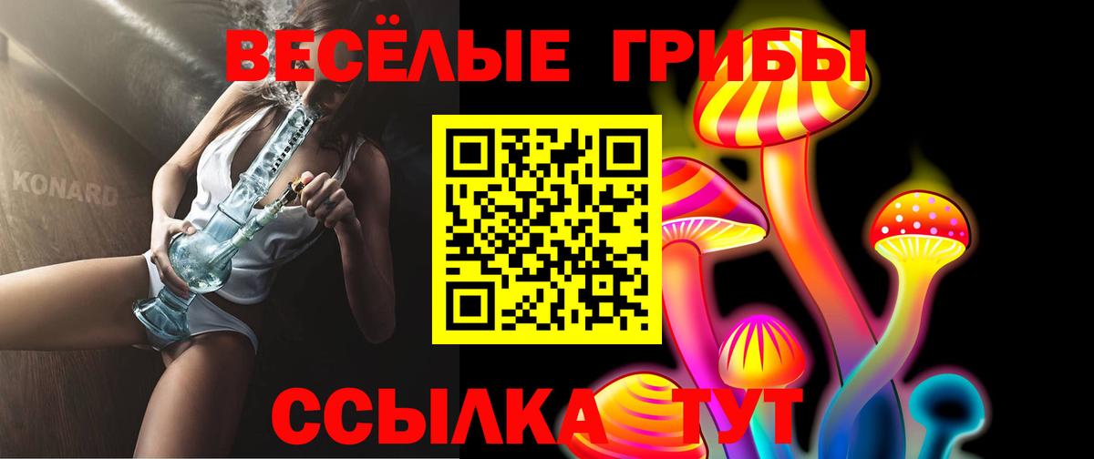 Псилоцибиновые грибы Psilocybine cubensis  Новокузнецк  что такое   Псилоцибиновые грибы мицелий 