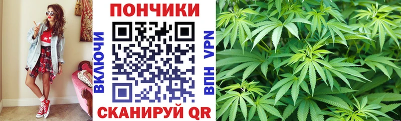 как найти наркотики  Новокузнецк  Марихуана гибрид 