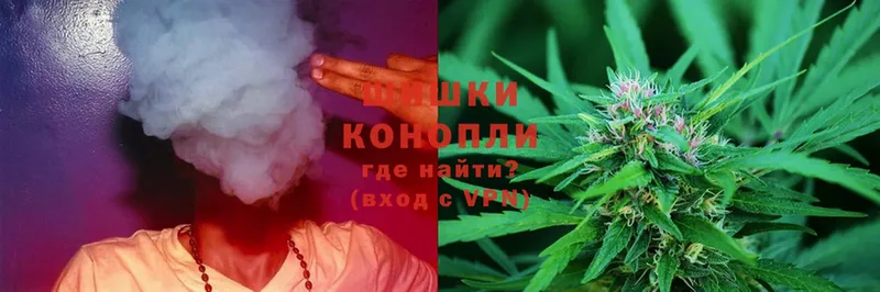 Шишки марихуана THC 21%  Новокузнецк 